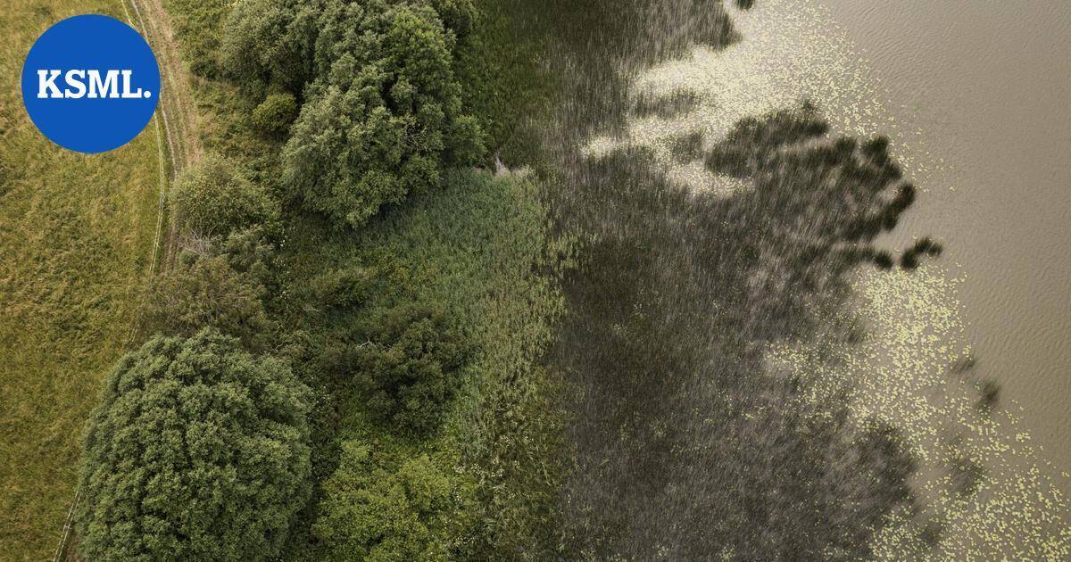 Suomen ympäristökeskus: Sisävesien lajisto on merkittävästi heikentynyt | Uutissuomalainen