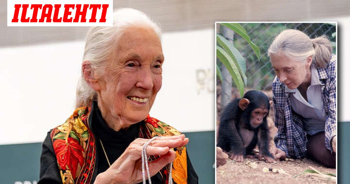 Jane Goodall on kuollut