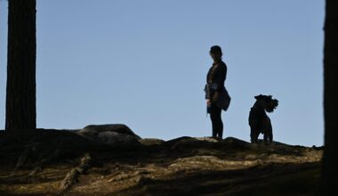 Koirien aineenvaihdunnasta uusi havainto | Verkkouutiset