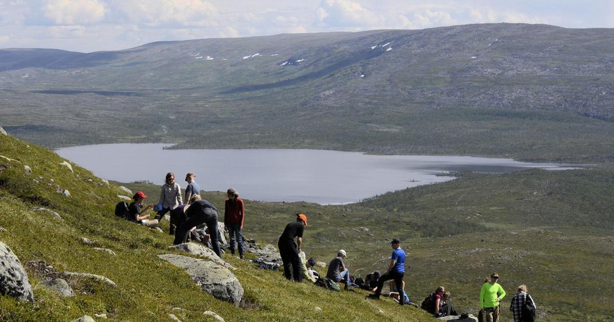 Opiskelu | Biologian kandiohjelma | Helsingin yliopisto