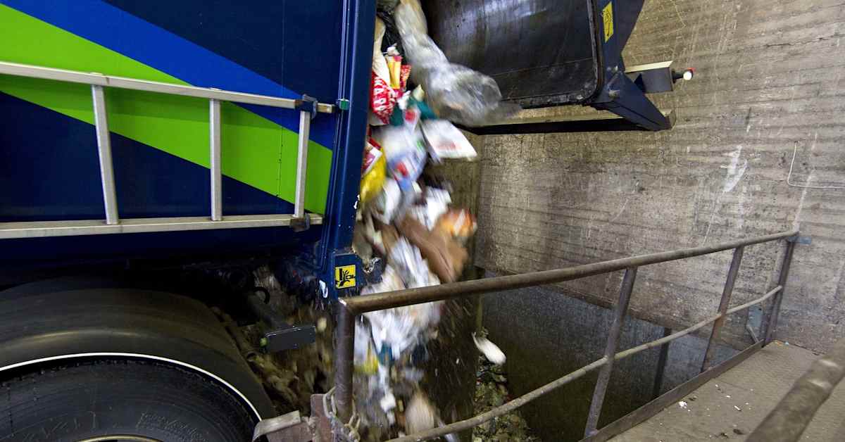 Raportti: Suomen ympäristön tilassa on useita ongelmia | Aamukooste