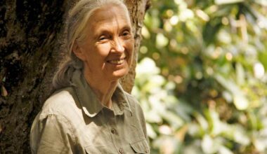 Simpanssitutkija Jane Goodall on kuollut | Uutisia lyhyesti