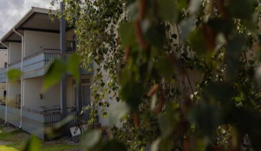Vierailu vanhassa kotitalossa kostautui Tampereella – lutikat levisivät toiseenkin kerrostaloon | Pirkanmaa