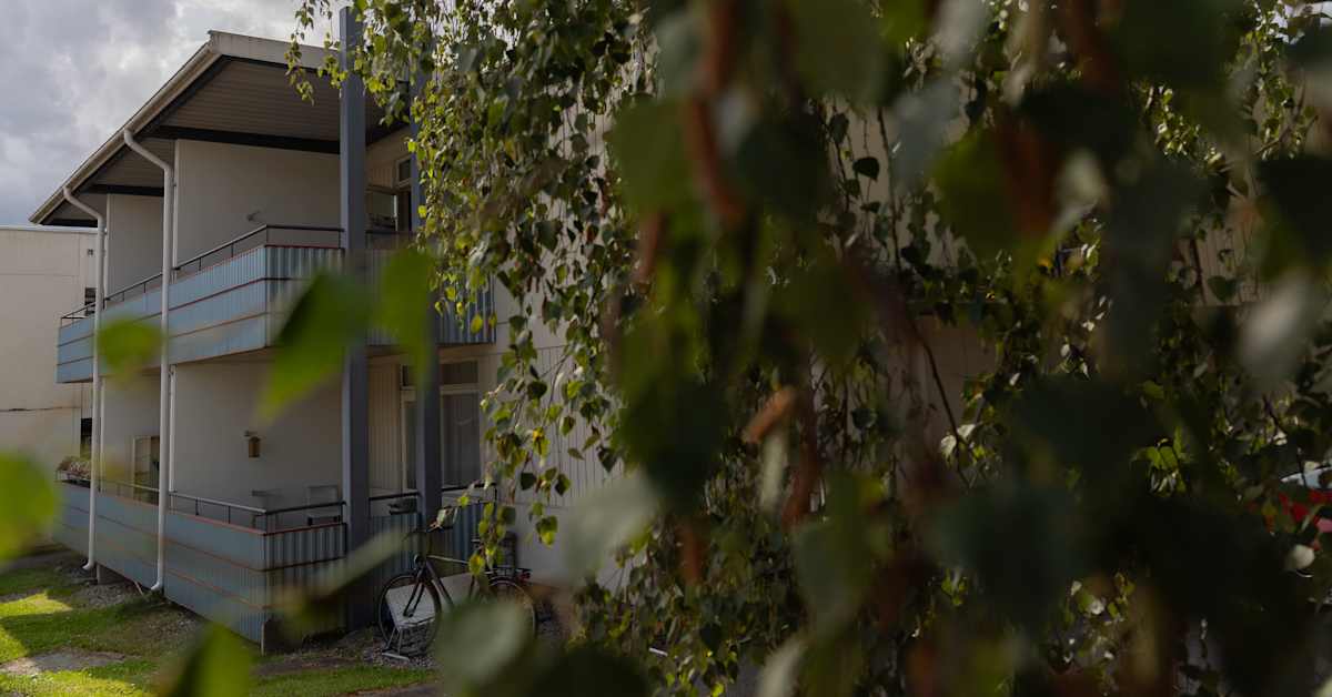 Vierailu vanhassa kotitalossa kostautui Tampereella – lutikat levisivät toiseenkin kerrostaloon | Pirkanmaa