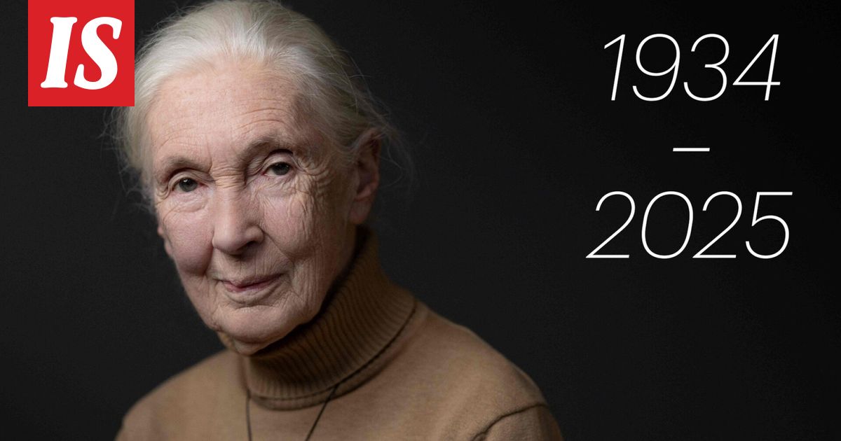 Simpanssitutkija Jane Goodall on kuollut
