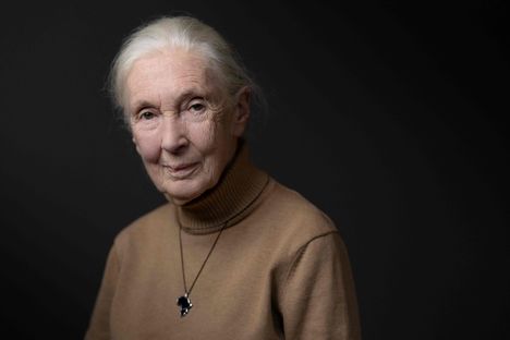 Jane Goodall kuvattuna lokakuussa 2024.