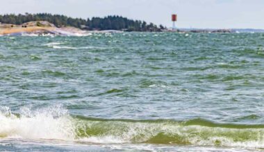 Vaasa investoi meriveden puhdistamiseen – pilottikontti valmistaa pian juomavettä merivedestä | Kotimaa