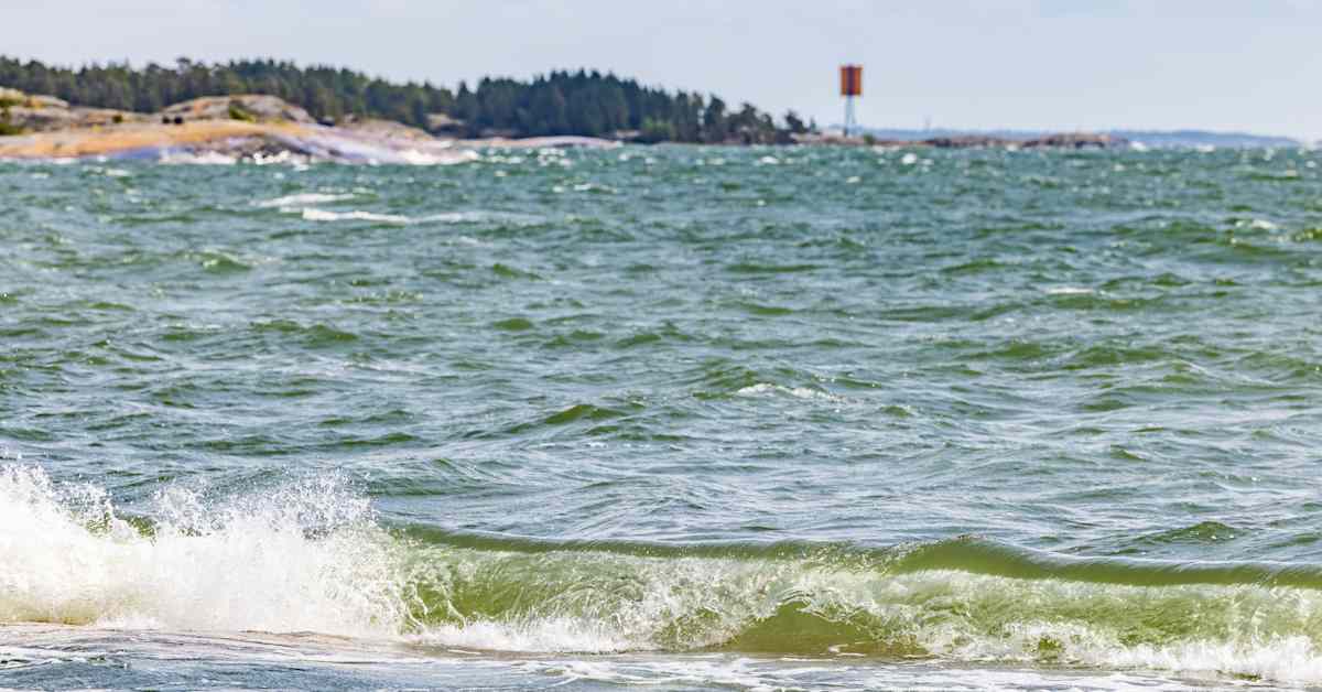 Vaasa investoi meriveden puhdistamiseen – pilottikontti valmistaa pian juomavettä merivedestä | Kotimaa