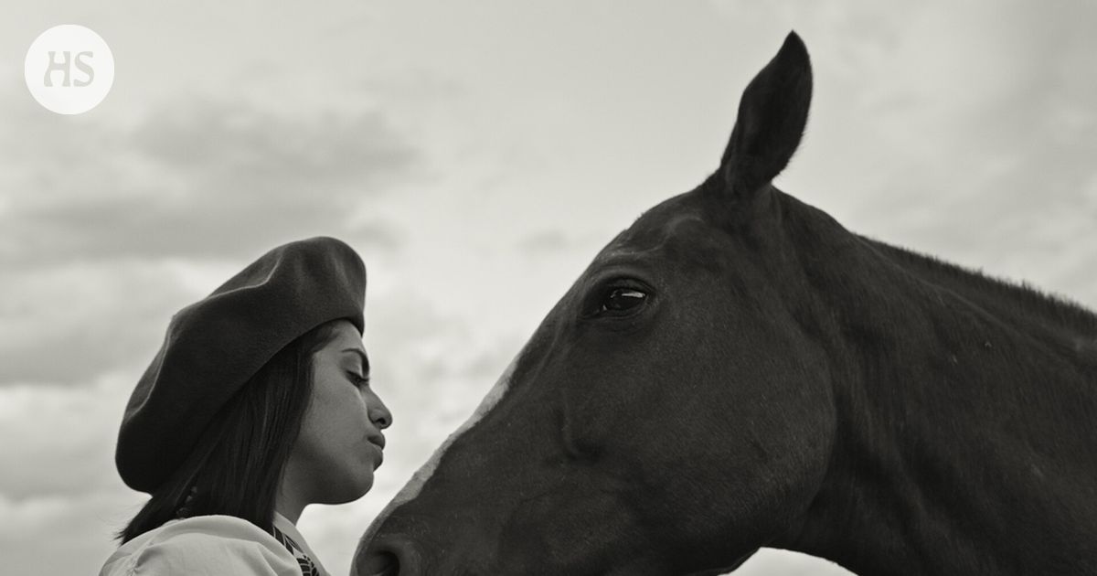 Dokumentti paimenista tarjoaa huikeaa kauneutta ja rauhaa kiireiselle nykyihmiselle