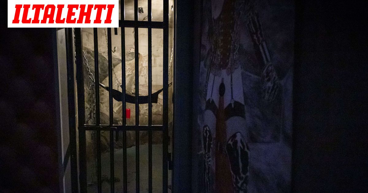 Näin Villi-Ira sanoi seksikartanolla, jossa epäillään tapahtuneen hirveitä asioita