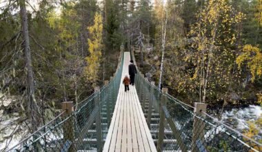 Ruska on tänä syksynä myöhässä | Kotimaa