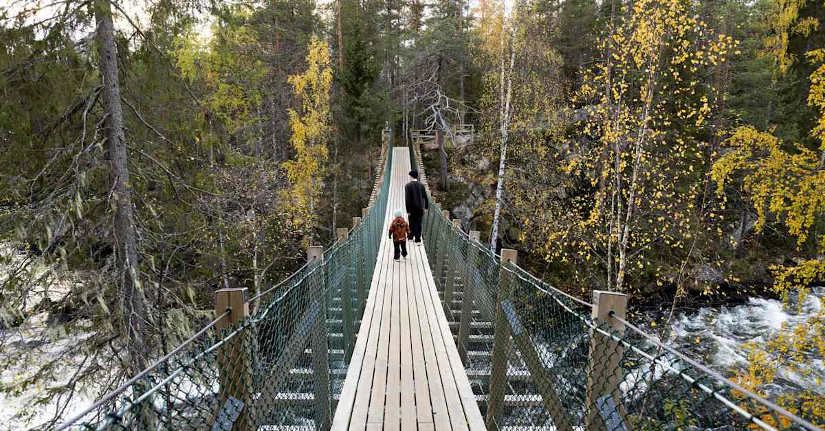 Ruska on tänä syksynä myöhässä | Kotimaa