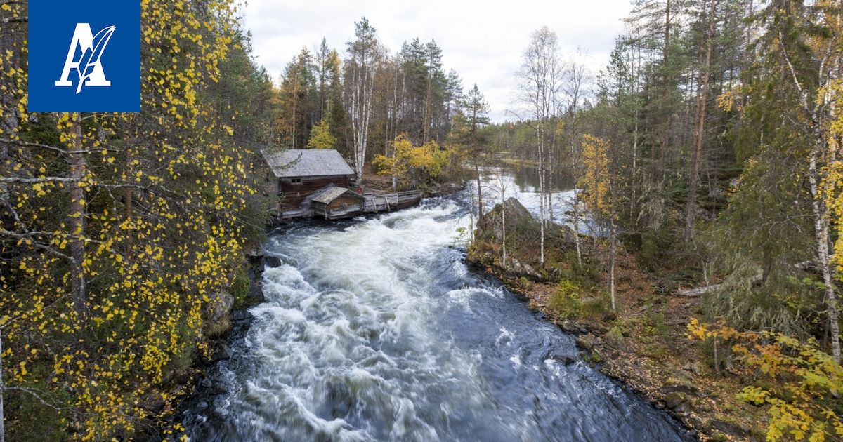 Ruska on tänä syksynä myöhässä