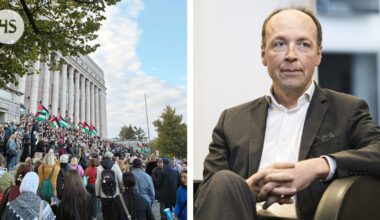 Halla-aho paheksuu Palestiina-mielenosoittajien käytöstä | HS.fi