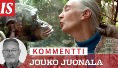 Kommentti: Simpanssitutkija Jane Goodall opetti, mitä ihmisyys oikeastaan merkitsee
