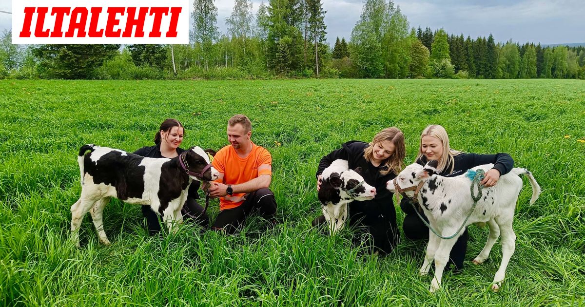 Maajussi-Pertun toiminta saa puolisoehdokkaan kyyneliin – Treffit eivät miellyttäneet