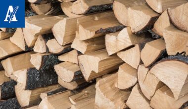 Mukavissa syyspuuhissa voi altistua viheliäiselle taudille, joka vie pahimmillaan sairaalaan