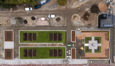 Parkkitalon päällä kasvavat pian lehmukset – Jyväskylä istuttaa 60 puuta keskelle kaupunkia, eikä se ole ihan helppoa | Keski-Suomi