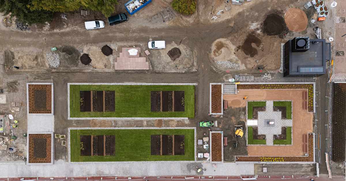 Parkkitalon päällä kasvavat pian lehmukset – Jyväskylä istuttaa 60 puuta keskelle kaupunkia, eikä se ole ihan helppoa | Keski-Suomi