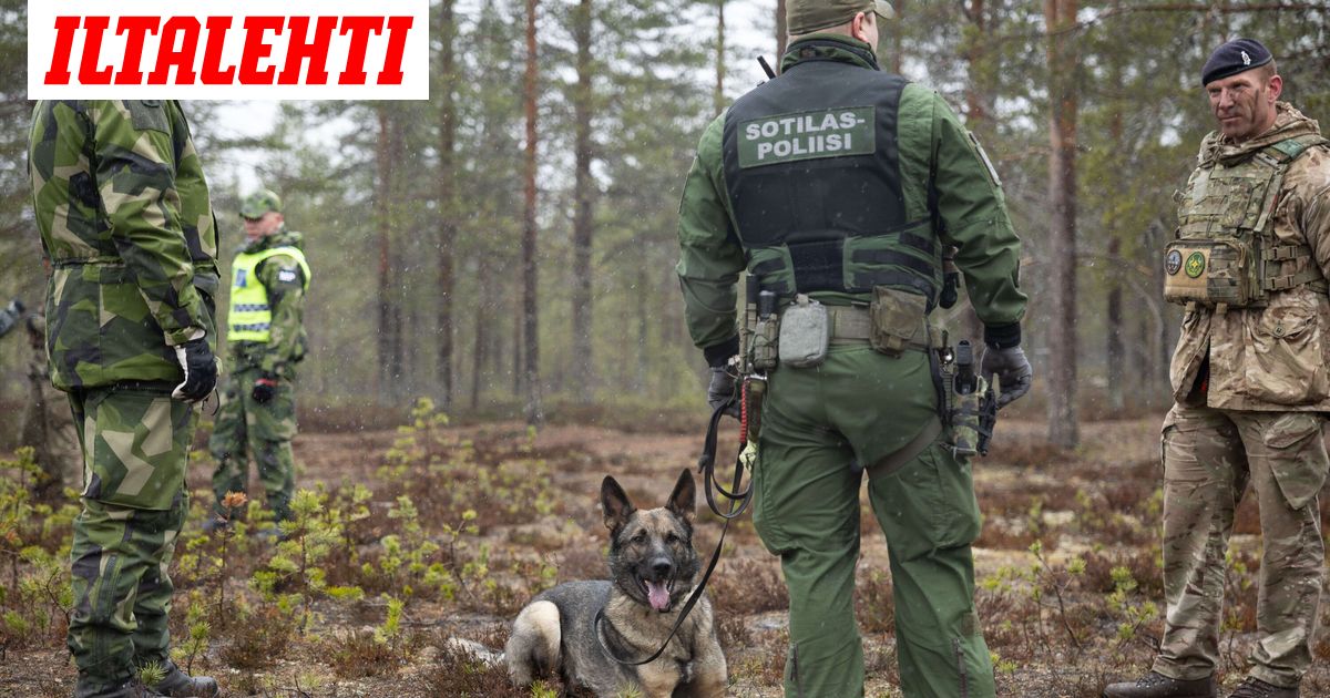 Ylikersantti käskytti varusmiehet nollakelissä lätäkköön uimaan – Nyt tuli tuomio