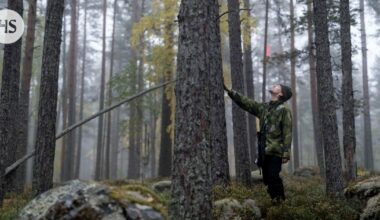 Suomalaiset kuluttavat luonnonvaroja Euroopan maista eniten, sanoo tuore raportti