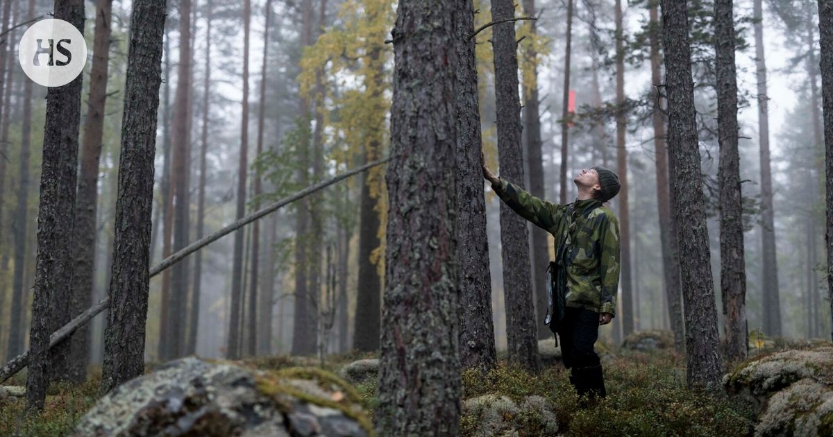 Suomalaiset kuluttavat luonnonvaroja Euroopan maista eniten, sanoo tuore raportti