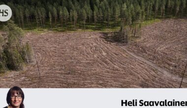 Suomalaiset ovat suurkuluttajia, sanoo raportti – Syy on poliitikkojen