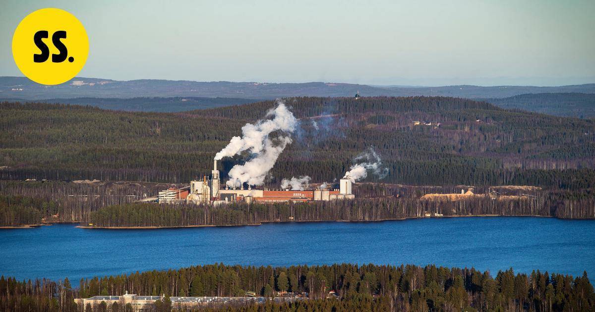 Kuopiossa toimivan Mondin osake syöksyi pörssissä – tässä syyt | Savo