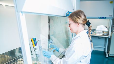 PrecisionPhage -yhtiö tutkii faagilääkkeitä Jyväskylässä. Kuvassa Sanna Vacker valmistaa laboratoriossa kasvatusmaljoja antibioottiresistenteille bakteereille.