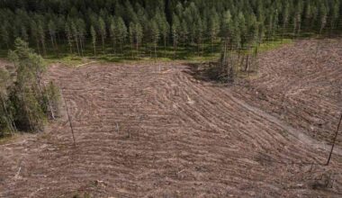Suomessa luonnonvarojen kulutus henkeä kohden Euroopan suurinta | Uutisia lyhyesti