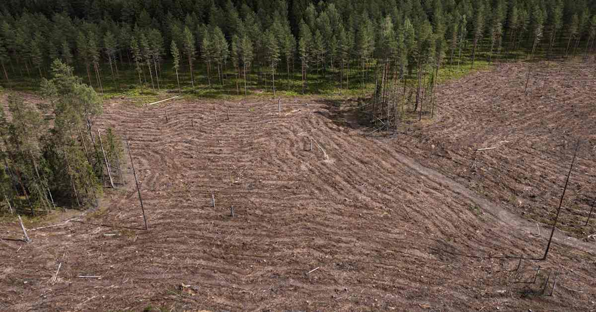 Suomessa luonnonvarojen kulutus henkeä kohden Euroopan suurinta | Uutisia lyhyesti
