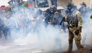 Parisataa Texasin kansalliskaartilaista saapui Illinois'n osavaltioon | Uutisia lyhyesti