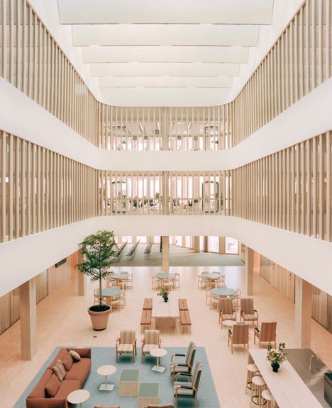 Avarat aulatilat korostavat puurakennetta.