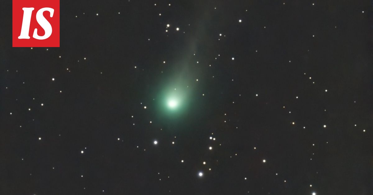 Komeetta Lemmon on Suomen taivaalla – pyrstötähden voi nähdä paljain silmin