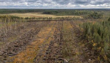 Kainuussa torjutaan luontokatoa Lumo-ohjelmalla | Kainuu