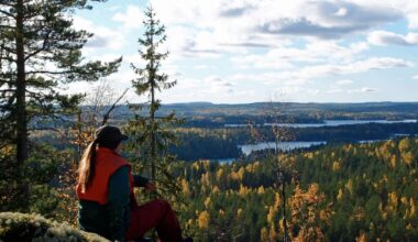 Bussikyydit kansallis­puistoon saavuttivat suursuosion Keski-Suomessa – kuljetukset jatkuvat ensi kesänä | Keski-Suomi