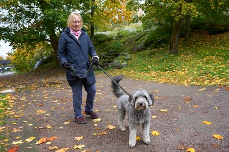 Pirkko Brander oli Töölönlahdella ulkoiluttamassa sisarensa Ruben-koiraa.