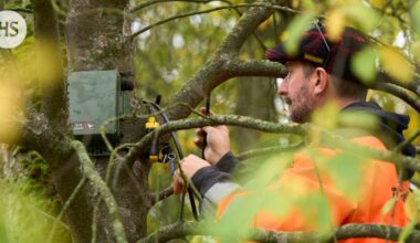 Keskuspuistoon asennettiin laitteita, jotka nauhoittavat ohikulkijoita