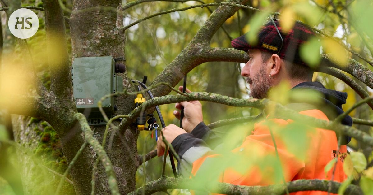 Keskuspuistoon asennettiin laitteita, jotka nauhoittavat ohikulkijoita