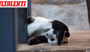 Näin kaupunginjohtaja kommentoi Ähtärin konkurssiuutista