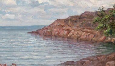 Vaasan museot pyytää yleisöapua tulevaan näyttelyynsä kahdesta pohjalaislähtöisestä naistaiteilijasta | Pohjanmaa