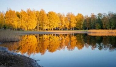 Järvien pinta pysyi syyskuussa matalalla Pohjois-Karjalassa | Pohjois-Karjala