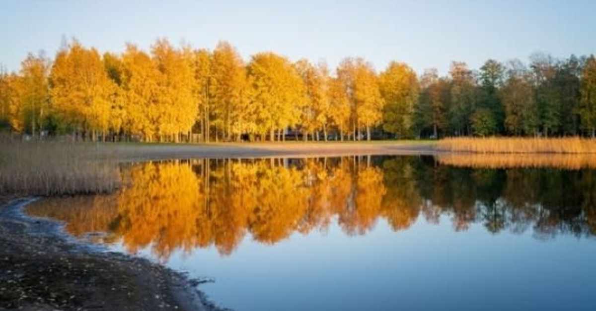 Järvien pinta pysyi syyskuussa matalalla Pohjois-Karjalassa | Pohjois-Karjala