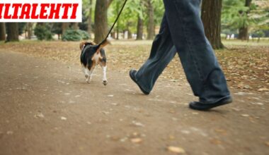 Mies potkaisi koiran hengiltä Oulussa
