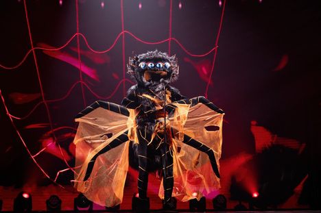 Hämähäkki joutui jättämään ohjelman.