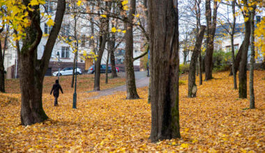 Syyslomalaisille on luvassa kylmää säätä – autoilijoille huomautus liukkaista teistä | Kotimaa