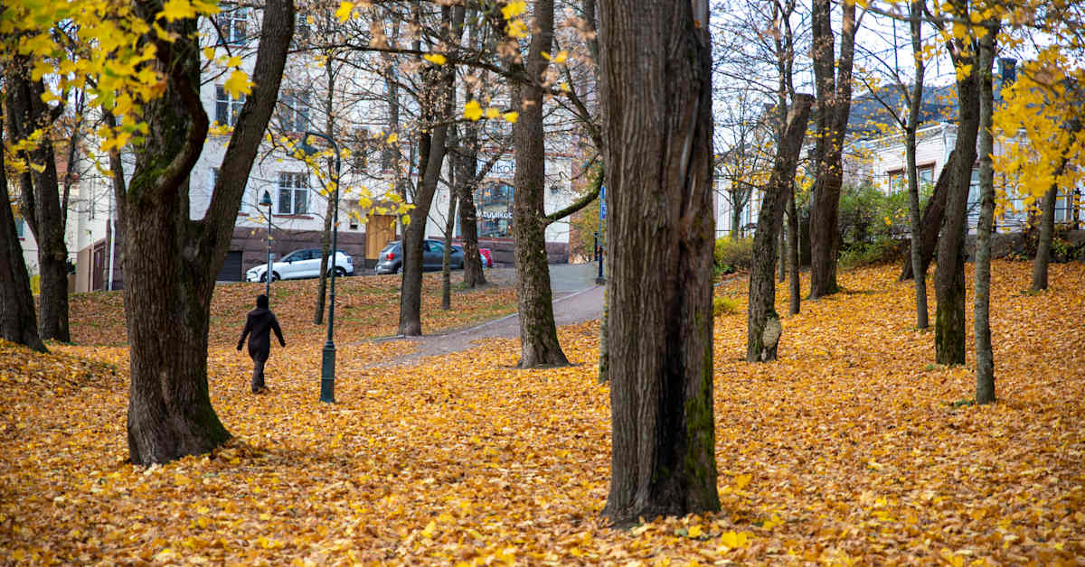 Syyslomalaisille on luvassa kylmää säätä – autoilijoille huomautus liukkaista teistä | Kotimaa