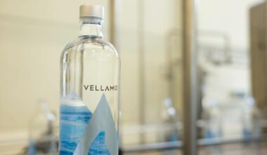 Suomalainen vesibrändi Vellamo sponsoroi F1-tallia – logo näkyy autoissa ja kypärissä | Kotimaa