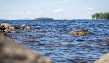 Pielisen saaresta löytyi muinainen hautaröykkiö – Pohjois-Karjalan museon mukaan lisätutkimuksille on tarvetta | Pohjois-Karjala