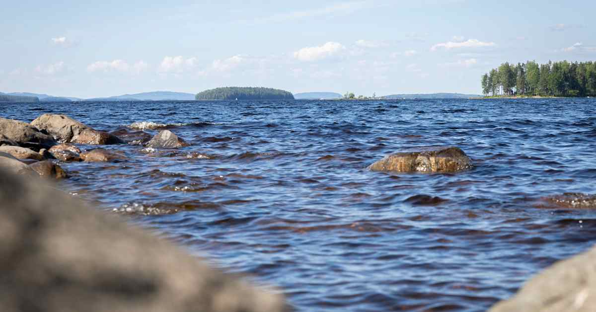 Pielisen saaresta löytyi muinainen hautaröykkiö – Pohjois-Karjalan museon mukaan lisätutkimuksille on tarvetta | Pohjois-Karjala